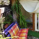Abri De Jardin Aménagé, Glamour