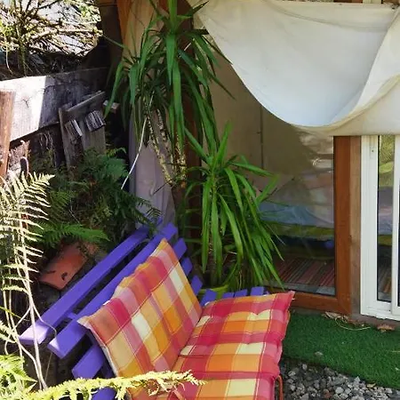 Abri De Jardin Amenage, Glamour